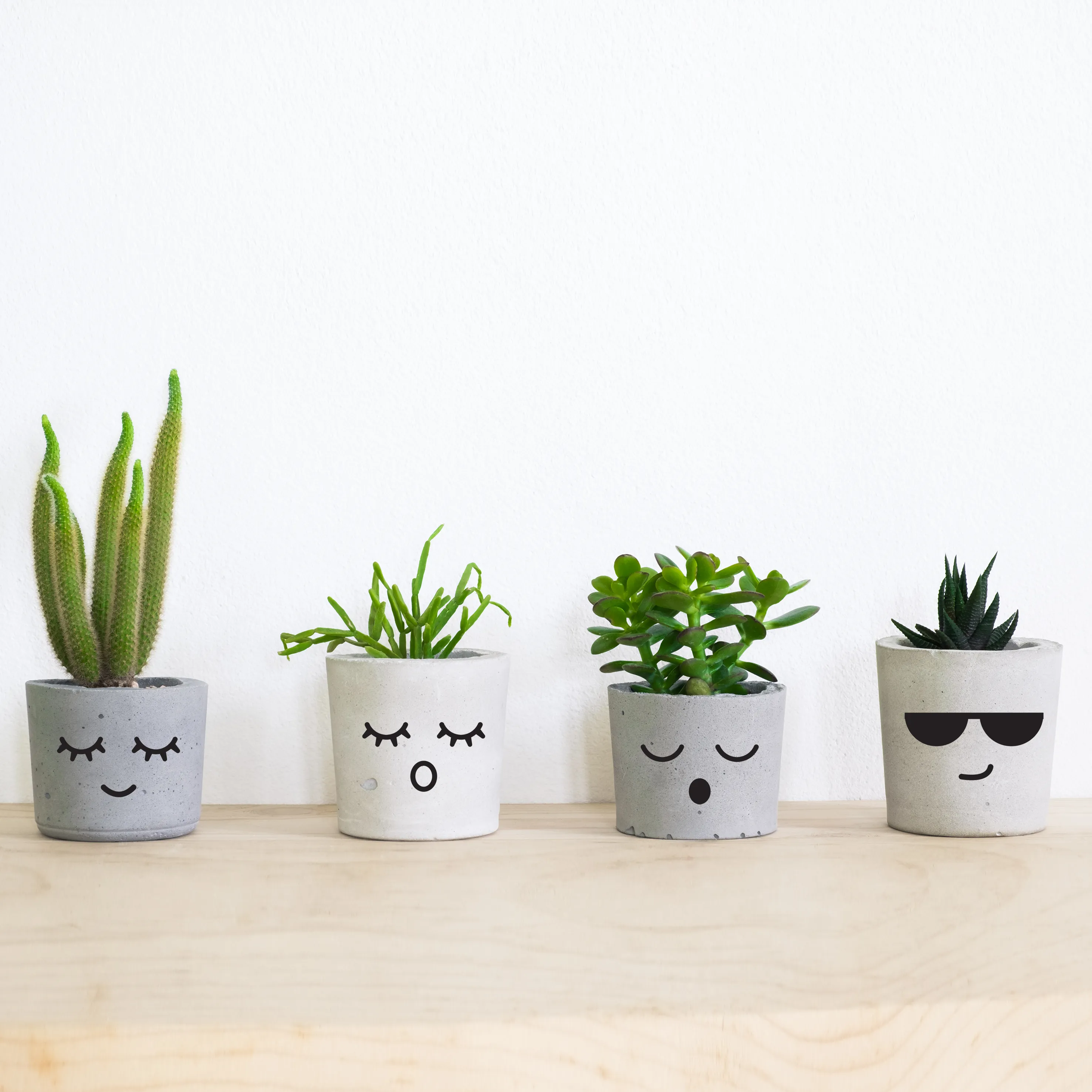 Faces Plant Pot Decal